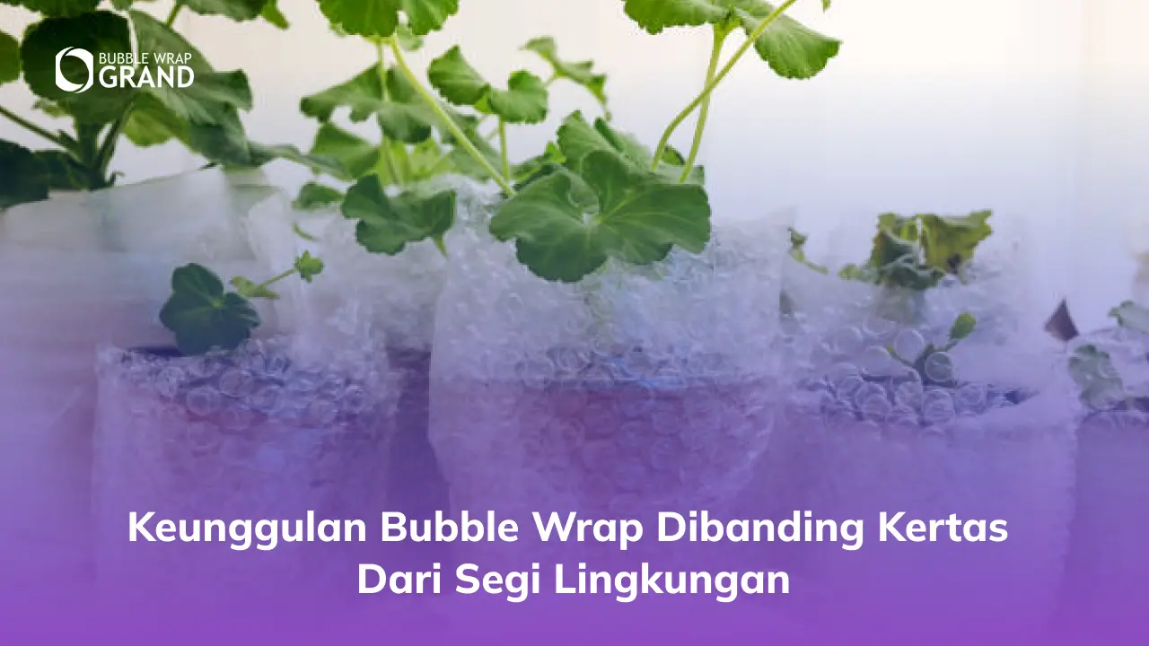 Keunggulan Bubble Wrap Dibanding Kertas dari Segi Lingkungan