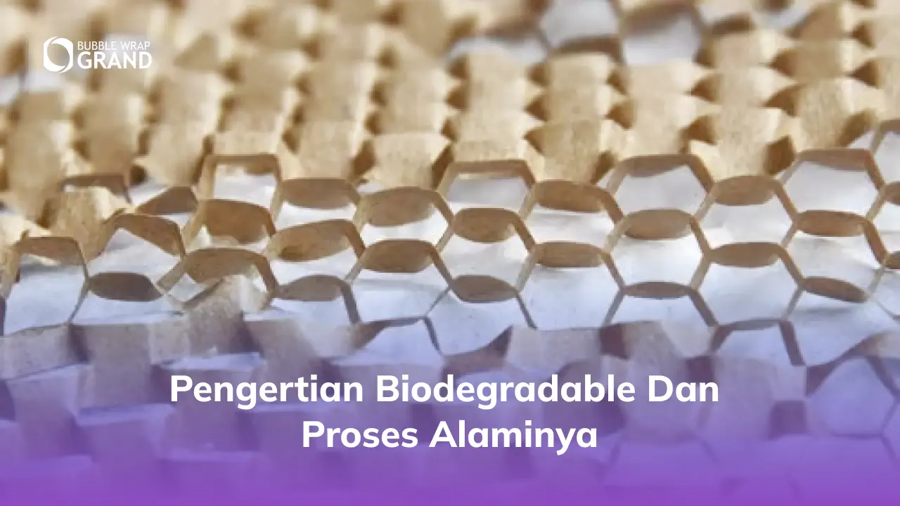 Pengertian Biodegradable dan Proses Alaminya