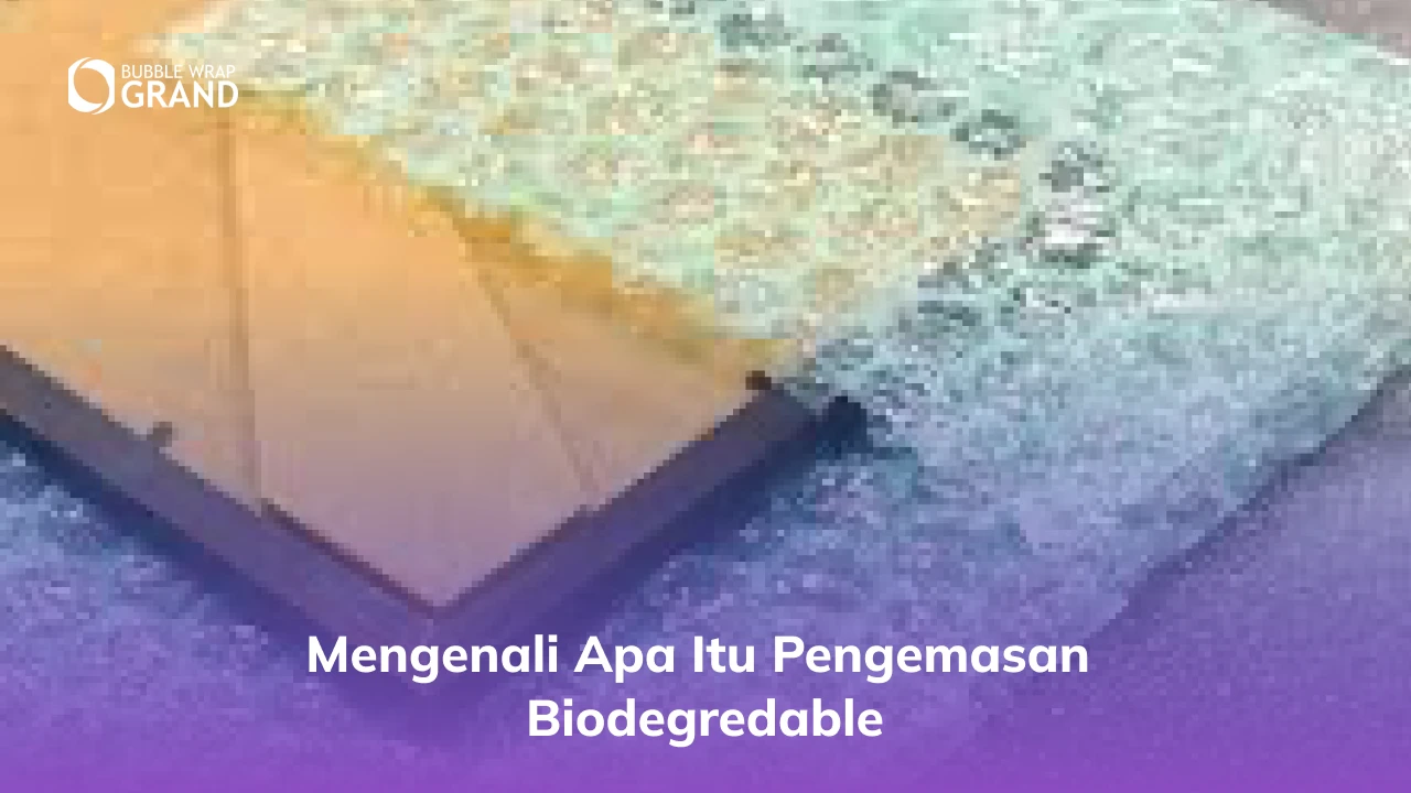Mengenali Apa itu Pengemasan Biodegredable