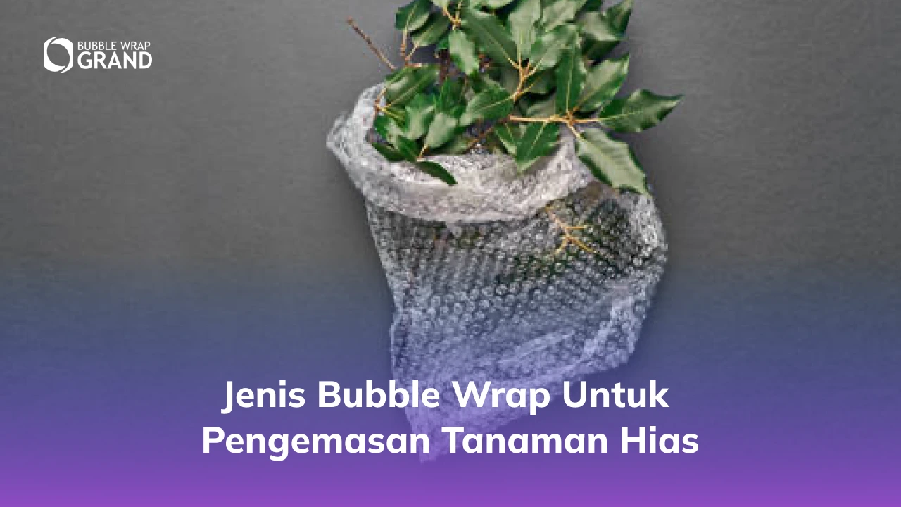 2. Jenis Bubble Wrap untuk Pengemasan Tanaman Hias