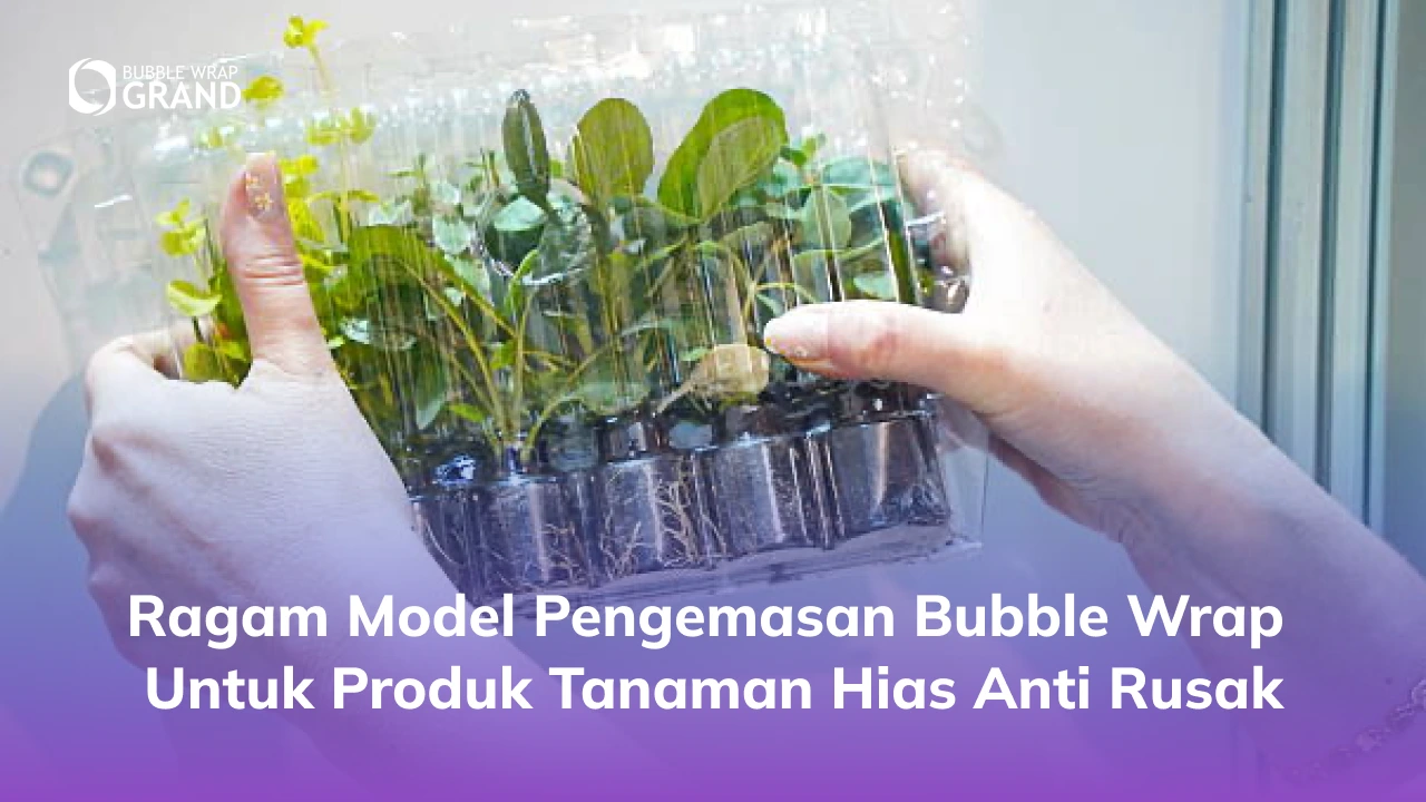 3. Ragam Model Pengemasan Bubble Wrap untuk Produk Tanaman Hias Anti Rusak