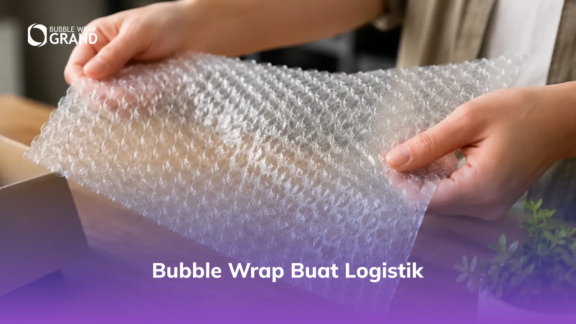 Bubble Wrap buat Logistik