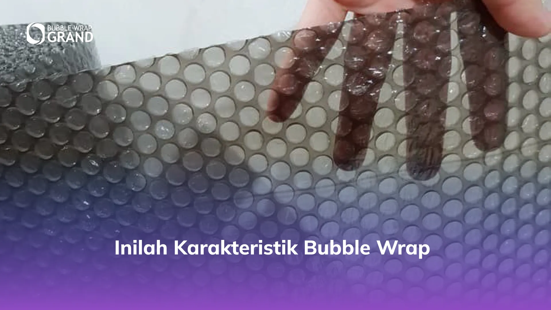 Inilah Karakteristik Bubble Wrap